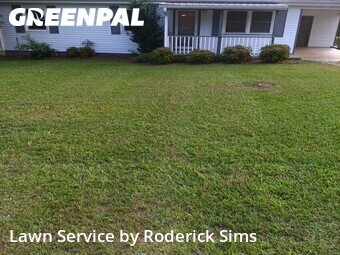 Yard Cutting nearby Braselton, GA, 