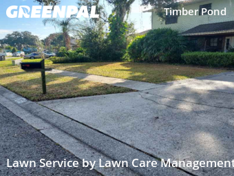 Yard Cutting nearby Brandon, FL, 