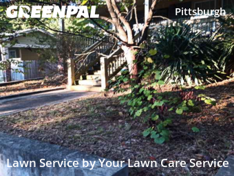 Lawn Mowing Service nearby Atlanta, GA, 