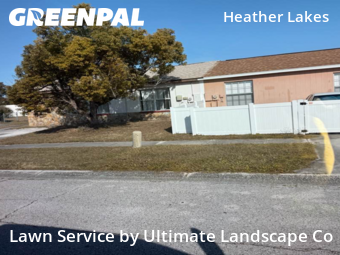 Lawn Cuttingin Brandon,33511,Lawn Care Service by Ultimate Landscape Co, work completed in Dec , 2025