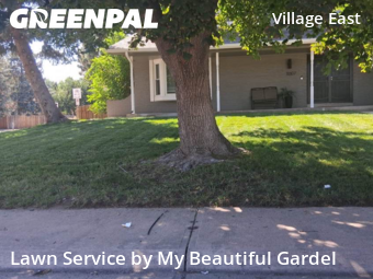 Lawn Cutting nearby Aurora, CO, 