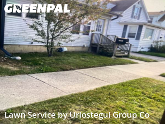 Grass Cut nearby Waukegan, IL, 