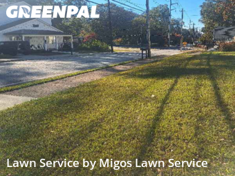 Commercial Landscaping In Atlanta,30344,Landscapers by Migos Lawn Service, work completed in Nov , 2025