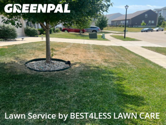 Lawn Cut nearby Saint Charles, MO, 