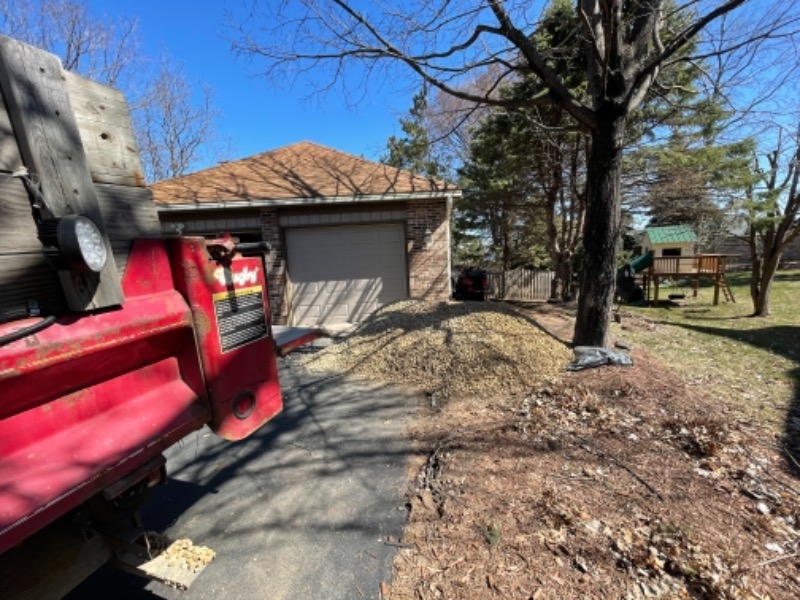 Lsc Dumping And Haul Lawn Care Services in Woodbury, MN