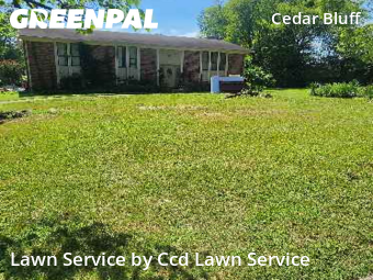 Lawn Care nearby Knoxville, NC, 