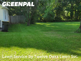 Lawn Maintenance in Newnan, 30263, Yard Services by Twelve Oaks Lawn Svc., work completed in Nov , 2025