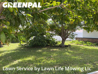 Grass Cut nearby Palm Bay, FL, 