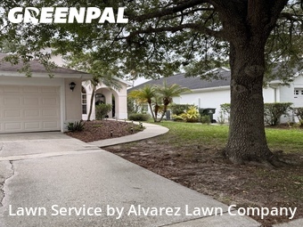 Lawn Carein Ocoee,34761,Lawn Mow by Alvarez Lawn Company, work completed in Jul , 2026