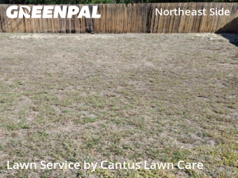 Lawn Maintenance nearby Converse, TX, 