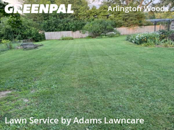 Yard Mowing nearby Indianapolis, IN, 