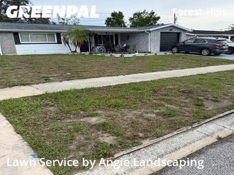 Grass Cutting nearby Holiday, FL, 