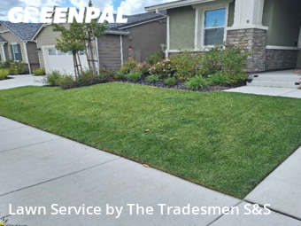 Lawn Mow nearby Antioch, CA, 