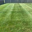 local-lawn-and-landscape-maintenance-services-near-me-in-Bristol Township-PA