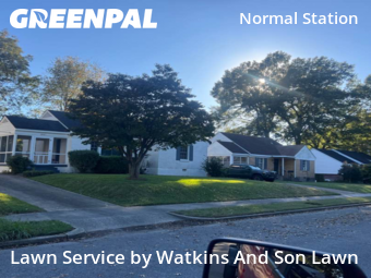 Affordable Landscaping Maintenance Services In Memphis,38111,Landscaping by Watkins And Son Lawn, work completed in Nov , 2025