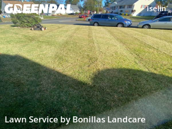 Grass Cut nearby Woodbridge Township, NJ, 