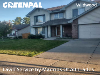 Lawn Upkeep in Fort Collins, 80528, Yard Upkeep by Madrids Of All Trades, work completed in Nov , 2025