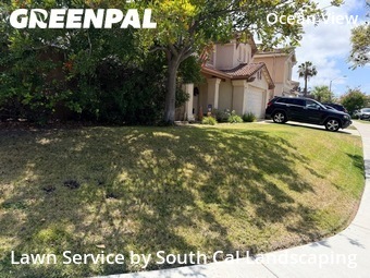 Backyard Landscaping In San Diego,92154,Landscaping by South Cal Landscaping, work completed in Jun , 2026