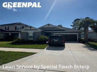 Grass Cut nearby Palm Harbor, FL, 