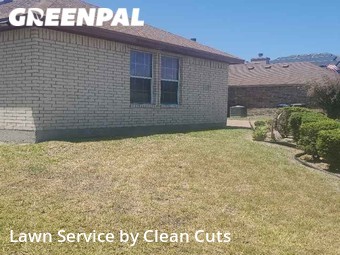 Yard Cutting nearby Corpus Christi, TX, 