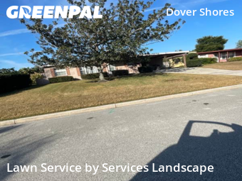 Lawn Mowing Servicein Orlando,32806,Lawn Service by Services Landscape, work completed in Feb , 2026