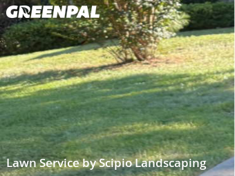 Lawn Care Service nearby Columbia, SC, 