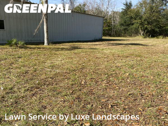 Lawn Maintenance nearby Clermont, FL, 