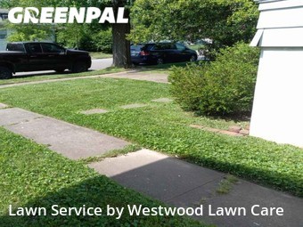 Lawn Cutting nearby Louisville, KY, 
