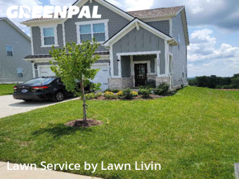 Grass Cutting nearby Smyrna, TN, 