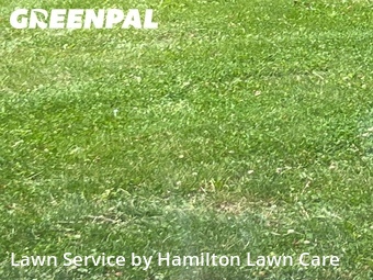 Lawn Cut nearby Noblesville, IN, 