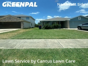 Lawn Care Service nearby San Antonio, TX, 