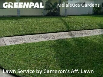 Grass Cut nearby Dania Beach, FL, 