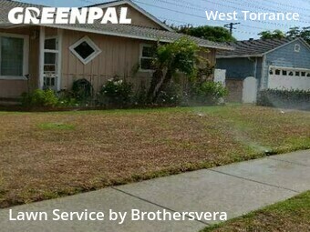 Grass Cut nearby Torrance, CA, 