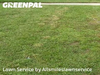 Grass Cutting nearby Hallandale Beach, FL, 