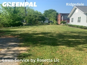 Lawn Mow nearby Chattanooga, TN, 