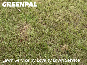 Lawn Care nearby Port St. Lucie, FL, 