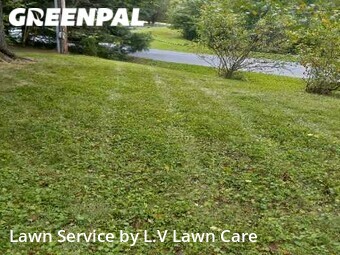 Yard Cutting nearby Hamilton, VA, 