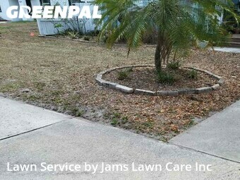 Lawn Cut nearby Tampa, FL, 