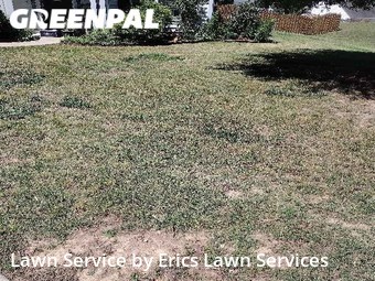 Lawn Cut nearby Matthews, NC, 