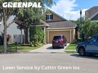 Lawn Mow nearby Tampa, FL, 