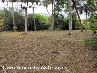 Yard Cutting nearby West Melbourne, FL, 