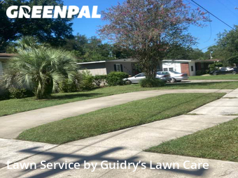 Grass Cut nearby Jacksonville, FL, 