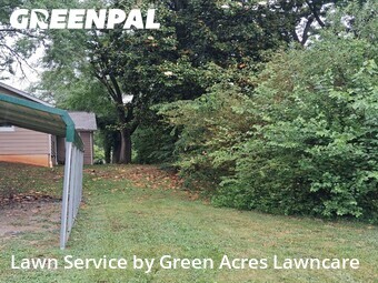 Lawn Mow nearby Kingsport, TN, 