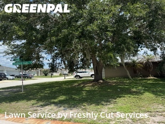 Grass Cut nearby Lakeland, FL, 