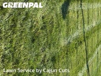 Lawn Care nearby Murfreesboro, TN, 