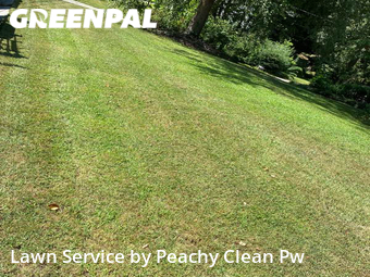 Yard Cutting nearby Hiram, GA, 