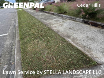 Grass Cut nearby Jacksonville, FL, 