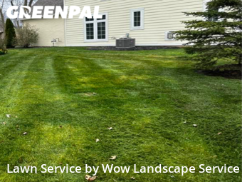 Lawn Work in Danville, 46122, Yard Care by Wow Landscape Service, work completed in Oct , 2025
