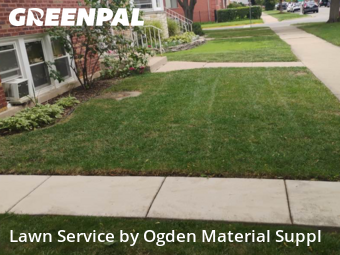 Lawn Mowing nearby Berwyn, IL, 