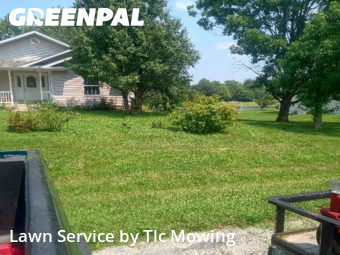 Yard Mowing nearby Dalton City, IL, 